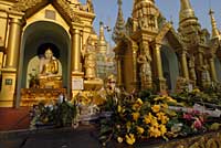 Rangoun, Yangon, Rangon, Rangoon, Shwedagon