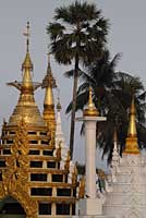 Rangoun, Yangon, Rangon, Rangoon, Shwedagon