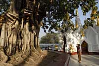 Rangoun, Yangon, Rangon, Rangoon, Shwedagon