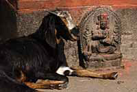 Patan,Lalitpur