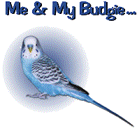 Me and my budgie