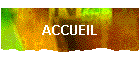 ACCUEIL