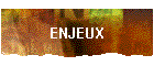 ENJEUX