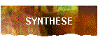 SYNTHESE