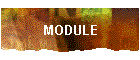 MODULE