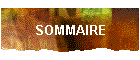 SOMMAIRE