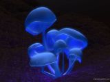 blue fungus