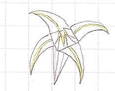 ptales droits : iris ; ptales arrondis : lys