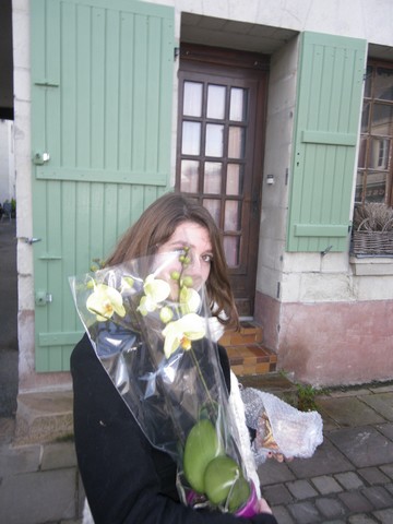 helene