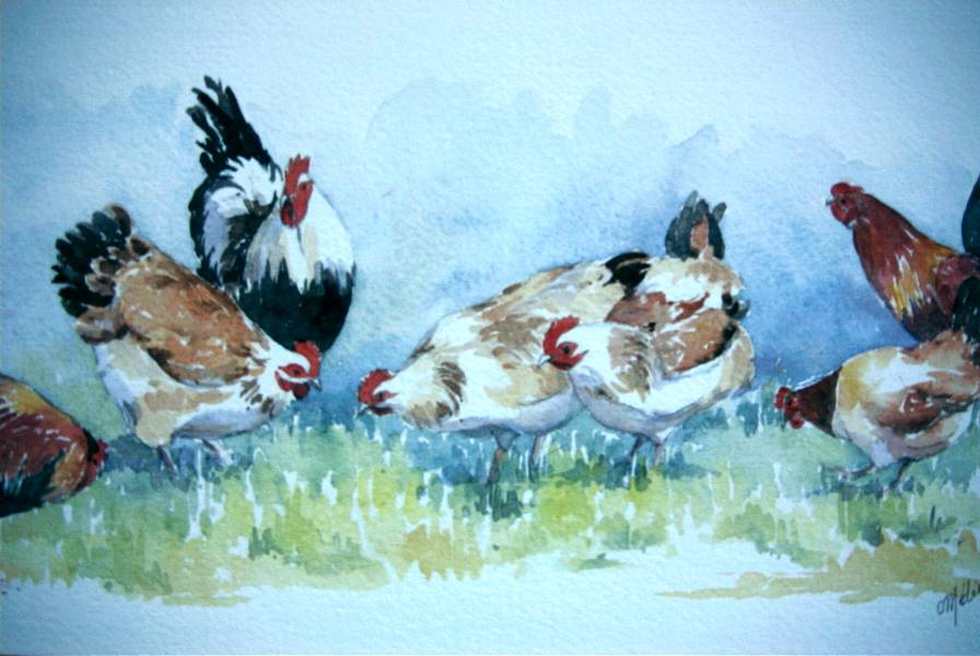 6-_aquarelle_coqs_et_poules