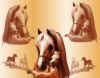 fondecranchevaux.jpg (163040 octets)