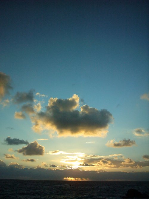 pic of the day